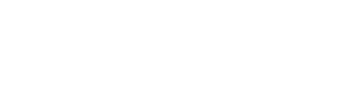 Microsoft-Partner Microsoft partner logo